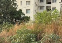 महापालिकेच्या महापौरांनी नद्या प्रदूषित करणाऱ्या गृहनिर्माण सोसायट्यांची यादी ७ दिवसांत मागवली, अधिकाऱ्यांना अशा रहिवासी संकुलांवर कठोर कारवाई करण्यास सांगितले