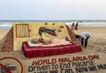 मलेरिया संपवण्यासाठी भारत अजूनही का धडपडत आहे?