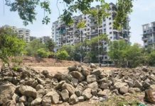 शहरी जैवविविधतेला चालना देण्यासाठी NIBM रोड परिसरात मियावाकी जंगलाची योजना केली आहे